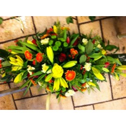 Sympathy 22 - Prices start from £150.00